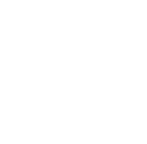 github white icon